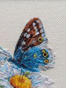 Fragile Beauty R2220 Counted Cross Stitch Kit