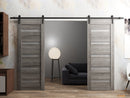 Quadro 4445 Nebraska Grey Double Barn Door with Frosted Glass and Black Rail