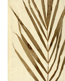 Herbarium XV