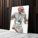 Deshaun Watson Canvas Art – Cleveland Browns Wall Decor