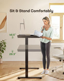 48 Inch Glass Electric Standing Desk With USB Charging