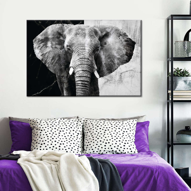 Elephant Black And White Wall Art