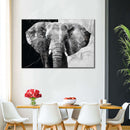 Elephant Black And White Wall Art