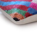 Abstract Multicolor Silk Velvet Pillow – Handmade 16x24 Inch