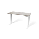 Atlas 48" Motorized Height Adjustable Standing Desk