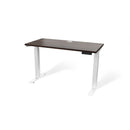 Atlas 48" Motorized Height Adjustable Standing Desk