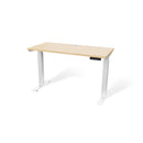 Atlas 48" Motorized Height Adjustable Standing Desk