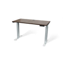 Butcher Block 48” Height-Adjustable Standing Office Desk