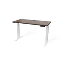Butcher Block 48” Height-Adjustable Standing Office Desk