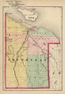 Vintage Map of Cheboygan County, Michigan 1873