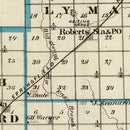 Vintage Map of Ford County, Illinois 1876