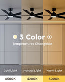 52 Inch Ceiling Fan With Lights Remote Black 5 Blade