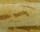 Hand Tufted 2x3 Animal Camel Wool Area Rug