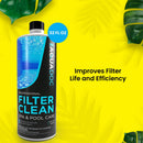 Pool Filter Clean & Stain and Scale Combo