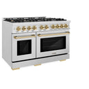 ZLINE 48" Select Dual Fuel Range Gas Cooktop Electric Convection Oven DuraSnow® Stainless Steel Gold HDRSZ-48-G