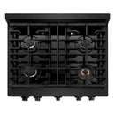 ZLINE 30"Paramount Dual Fuel Range Black Stainless Steel, SDRB-30