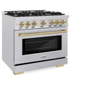 ZLINE 36" Select Gas Range Convection Gas Oven DuraSnow® Stainless Steel Gold HGRSZ-36-G