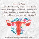 Yoni Steam Herbal Fertility Blend to Support Vaginal and Womb Health