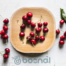 Bosnal - Palm Leaf Biodegradable Plates, 4 inch, Square