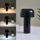 GlowMist™ Touch Lamp