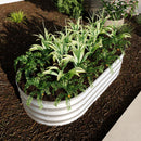 Galvanized Raised Garden Bed Kit for Vegetables, Flowers & Herbs, Rust-Resistant, Easy Assembly