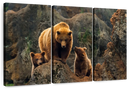 Bear And Cubs Wall Art