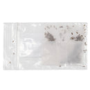 Mini Seed Mix | Bird Lovers | Tall & Short Options | Native Nebraska Seeds | Prairie Legacy Inc