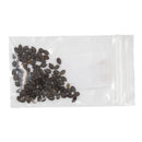 Mini Seed Mix | Hummingbird | Tall & Short Options | Local Ecotype | Prairie Legacy Inc