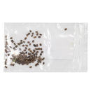 Mini Seed Mix | Hummingbird | Tall & Short Options | Local Ecotype | Prairie Legacy Inc