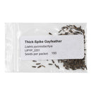 Mini Seed Mix | Hummingbird | Tall & Short Options | Local Ecotype | Prairie Legacy Inc