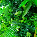 Sample Panel – Wild Tropics Vertical Garden (Small Sample)
