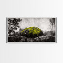 Mossy Rock, Abstract Nature, Green and Black Art, Canvas Print, Rustic Wall Decor, Boho Artwork, Modern Farmhouse Decor