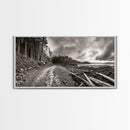 Forest Ocean Trail, Stormy Beach Scene, Driftwood Pathway, Framed Canvas Print, Cabin Entryway or Nature-Inspired Living Room Art