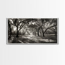 Oak Tree Path, Autumn Forest Glow, Nature Trail Photography, Framed Canvas Print, Hallway Wall Art, Earthy Decor, Woodland Art