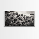 Blackberries on Vine, Farmhouse Kitchen Art, Rustic Fruit Wall Decor, Country Style, Autumn Botanical Photography, Canvas Print