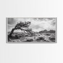 Twisted Tree, Desert Landscape, Surreal Nature, Canvas Print, Rustic Western Decor, Living Room Wall Art, Moody Earth Tones, Fall Aesthetic
