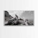 Coastal Driftwood, Beach Landscape, Pebble Shore Scene, Natural Decor Accent, Canvas Print, Relaxed Vibe, Entryway or Den Wall Art
