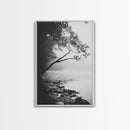 Misty Tree, Shoreline Fog, Forest Edge, Moody Atmosphere, Framed Canvas Print, Bedroom Wall Art, Autumn Woodland Style, Serene Nature Decor