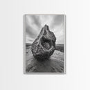 Sea Orb Rock, Coastal Texture, Ocean Shell Art, Framed Canvas Print, Beach House Wall Decor, Abstract Nature, Nautical Art Piece