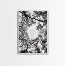 Forest Canopy View, Tree Tops Art, Nature Sky Print, Framed Canvas Print, Bedroom Wall Art, Minimalist Nature, Modern Rustic Decor