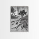 Palm Tree Beach, Coastal Dunes, Dramatic Sky, Framed Canvas Print, Tropical Wall Art, Boho Living Room Decor, Beach House Art