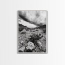 Desert Storm, Cactus Scene, Black White Art, Canvas Print, Southwest Wall Art, Earthy Tones Decor, Boho Style, Entryway Wall Accent