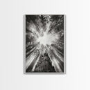 Redwood Canopy Sky, Majestic Forest Trees, Vertical Nature Scene, Framed Canvas Print, Wilderness Wall Art, Lodge or Den Decor