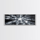 Redwood Trees, Forest Canopy, Looking Upward, Canvas Print, Black and White Nature Art, Meditation Room Decor, Minimalist Wall Art