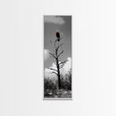 Lone Eagle, Tree Perch, Wild Raptor, Fierce Freedom, Canvas Print, Rustic Wildlife Wall Art, Cabin Lodge Decor, Dramatic Nature Scene