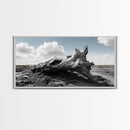 Weathered Stump, Desert Roots, Rugged Nature, Textured Wall Art, Canvas Print, Masculine Office Decor, Western Wall Accent, Rustic Charm
