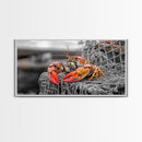 Bold Lobster, Nautical Art, Coastal Living, Red Claw, Framed Canvas Print, Beach House Wall Art, Kitchen Decor, Color Splash Style