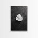 Monochrome Leaf, Nature Minimal, Still Life, Moody Art, Framed Canvas Print, Fall Wall Art, Kitchen Decor, Neutral Modern Aesthetic