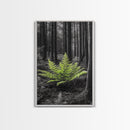 Green Fern, Forest Focus, Lush Nature, Woodland Light, Framed Canvas Print, Botanical Wall Art, Bedroom Decor, Minimalist Plant Art