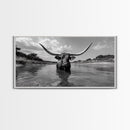 Longhorn in Water, rustic art, western decor, bull and bear art, cowboy wall art, farmhouse art, panoramic art, Framed Canvas Print